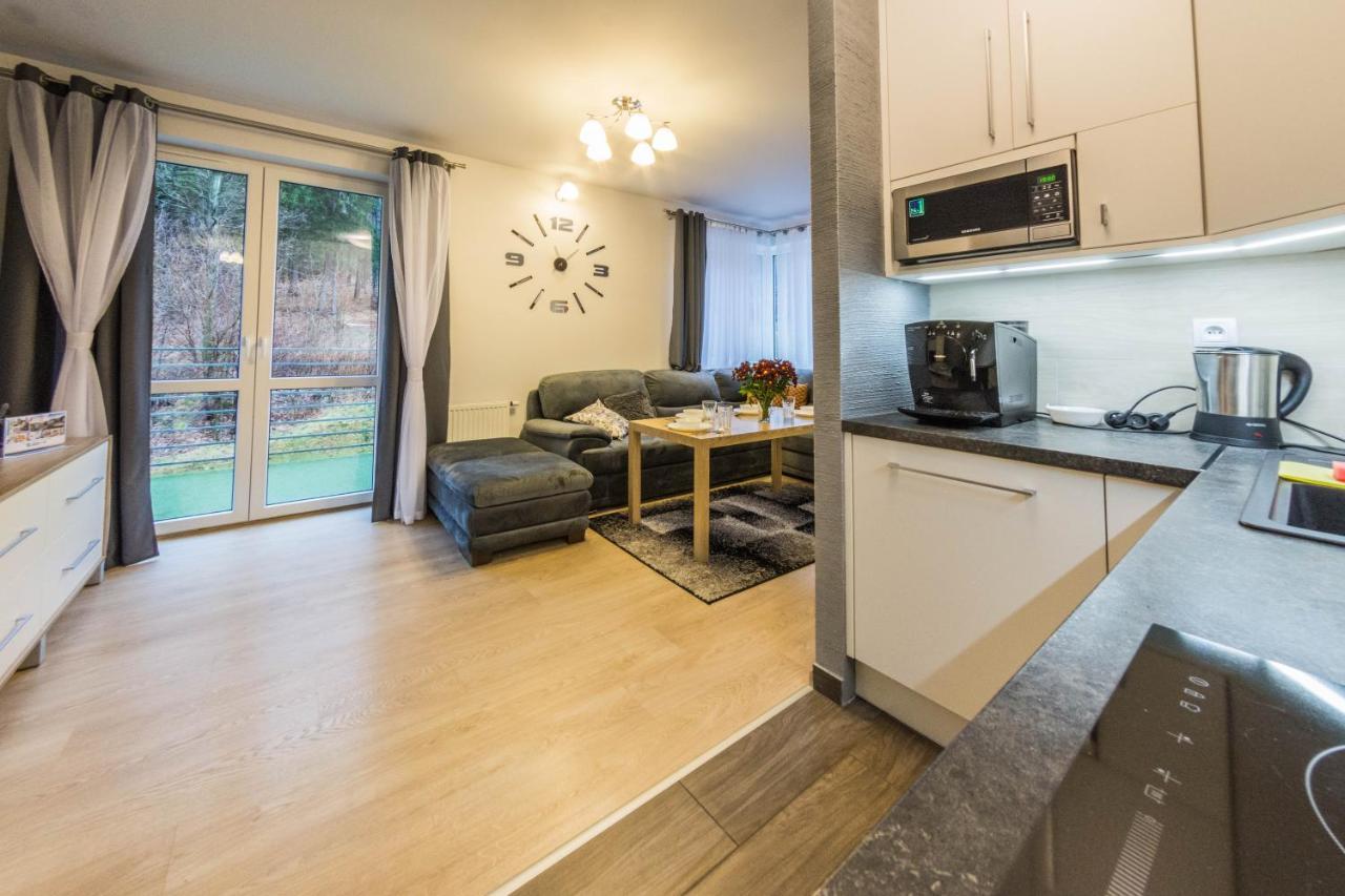 Apartamenty Izerskie - Ul. Cicha 13D-E Świeradów-Zdrój 외부 사진